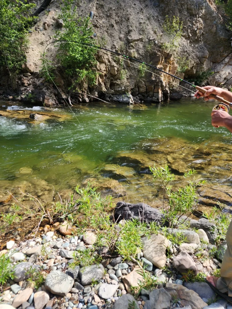 Fly rod bent over a fast pocket of green water as a hooked fish digs deep.